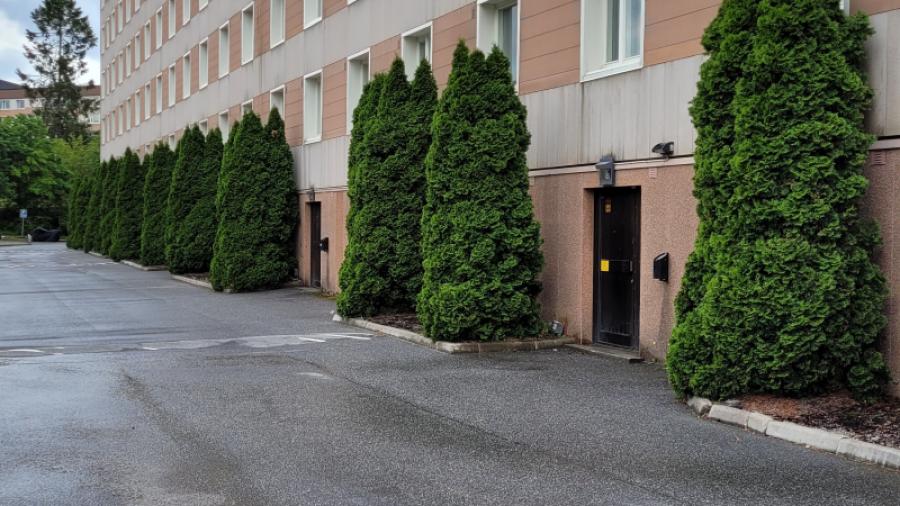 bakporten mot parkeringen