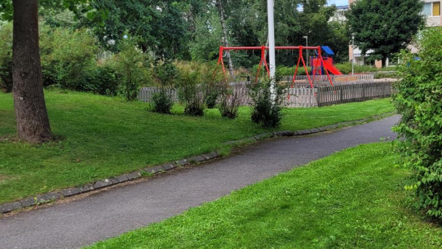 bilder på vår gård