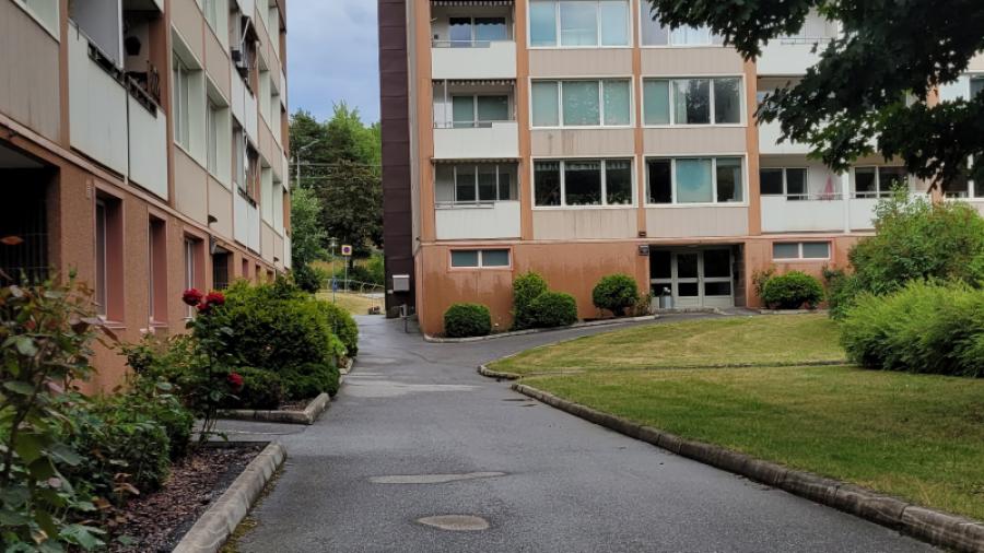 bilder på vår gård